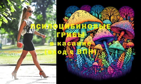 ГАЛЛЮЦИНОГЕННЫЕ ГРИБЫ Абдулино