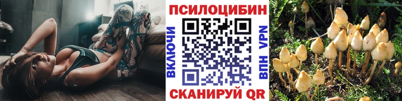 Псилоцибиновые грибы MAGIC MUSHROOMS  ссылка на мегу маркетплейс  Ясный 