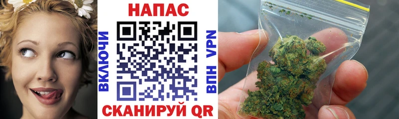 Бошки Шишки White Widow купить наркотики цена Ясный